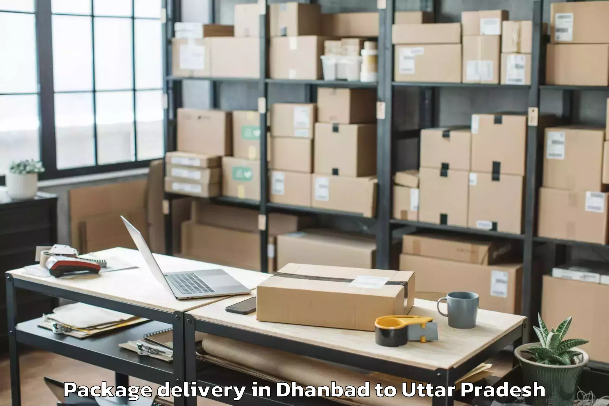 Book Dhanbad to Ahraura Package Delivery